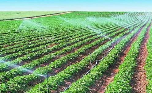鸡巴日逼视频农田高 效节水灌溉